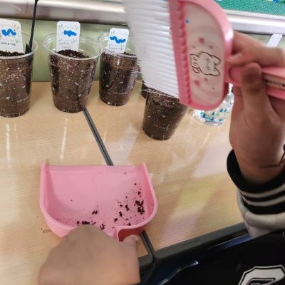 4월 8일 광명 소하초등학교