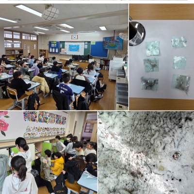 반짝반짝 샤인에너지가 넘치는 성남하원초!